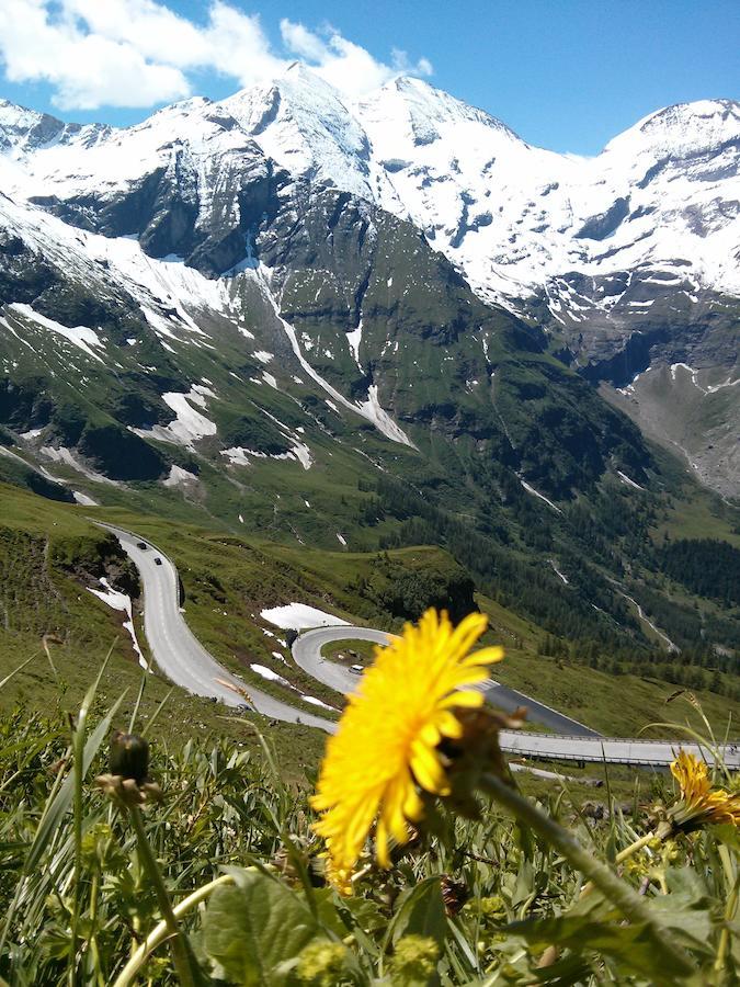 Ridehouse Bed & Breakfast Schladming Luaran gambar
