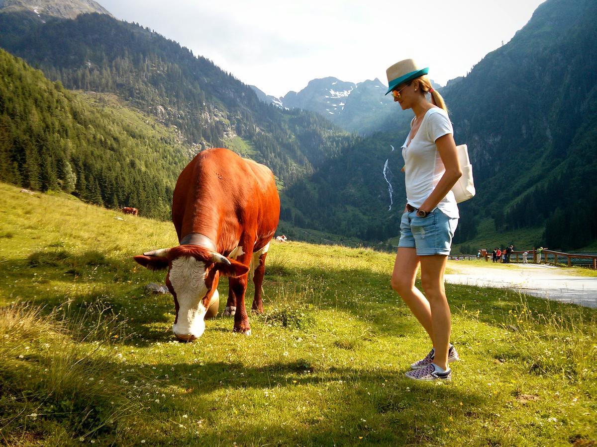 Ridehouse Bed & Breakfast Schladming Luaran gambar