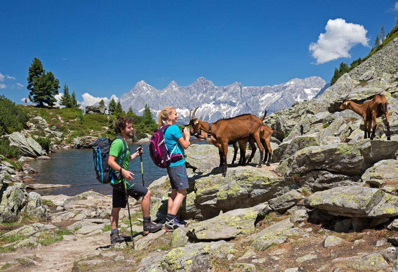 Ridehouse Bed & Breakfast Schladming Luaran gambar